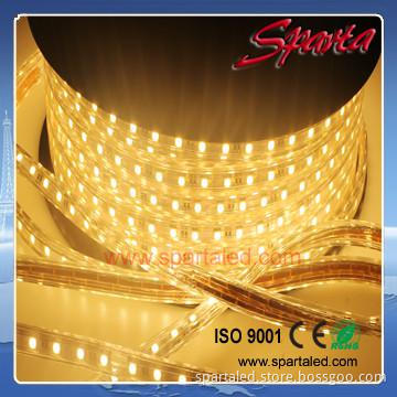 Flexible 220V/110V LED Rope Lights Waterproof